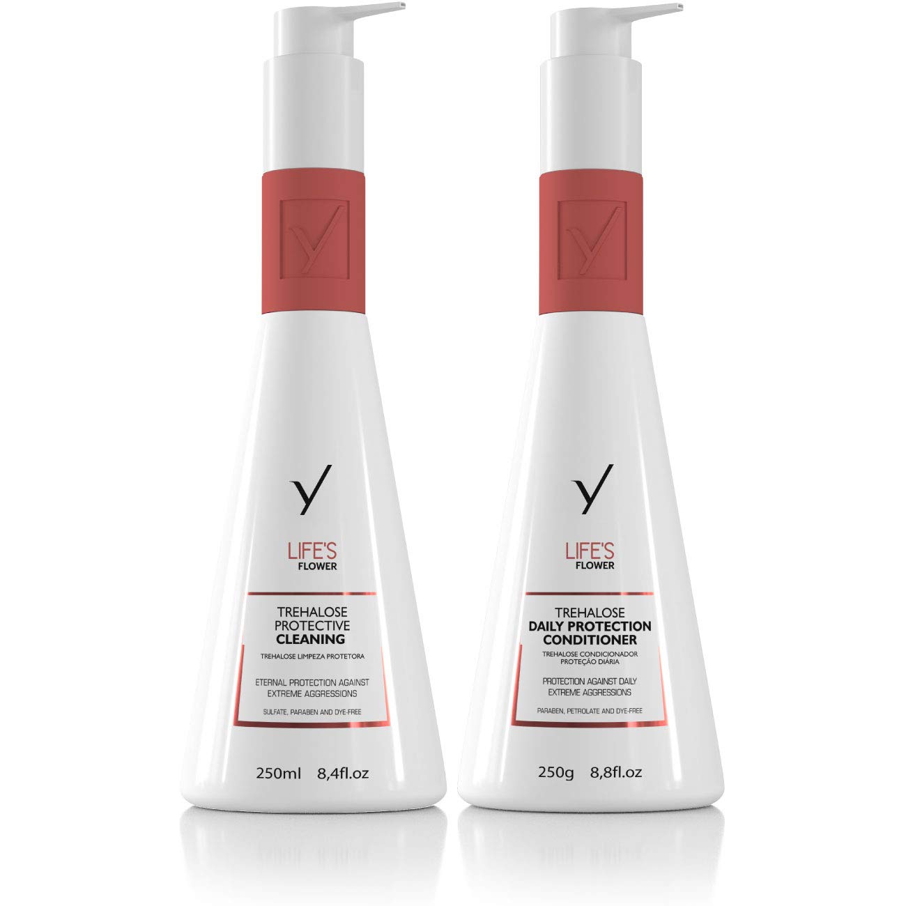 GYP Life’s Flower Home Care,Auto-Renewable Hair Hydration Therapy,Restores the Structure of the Strand,Balance pH,Protects Against Color Oxidation,Provides Softness and Shine,Set of 2