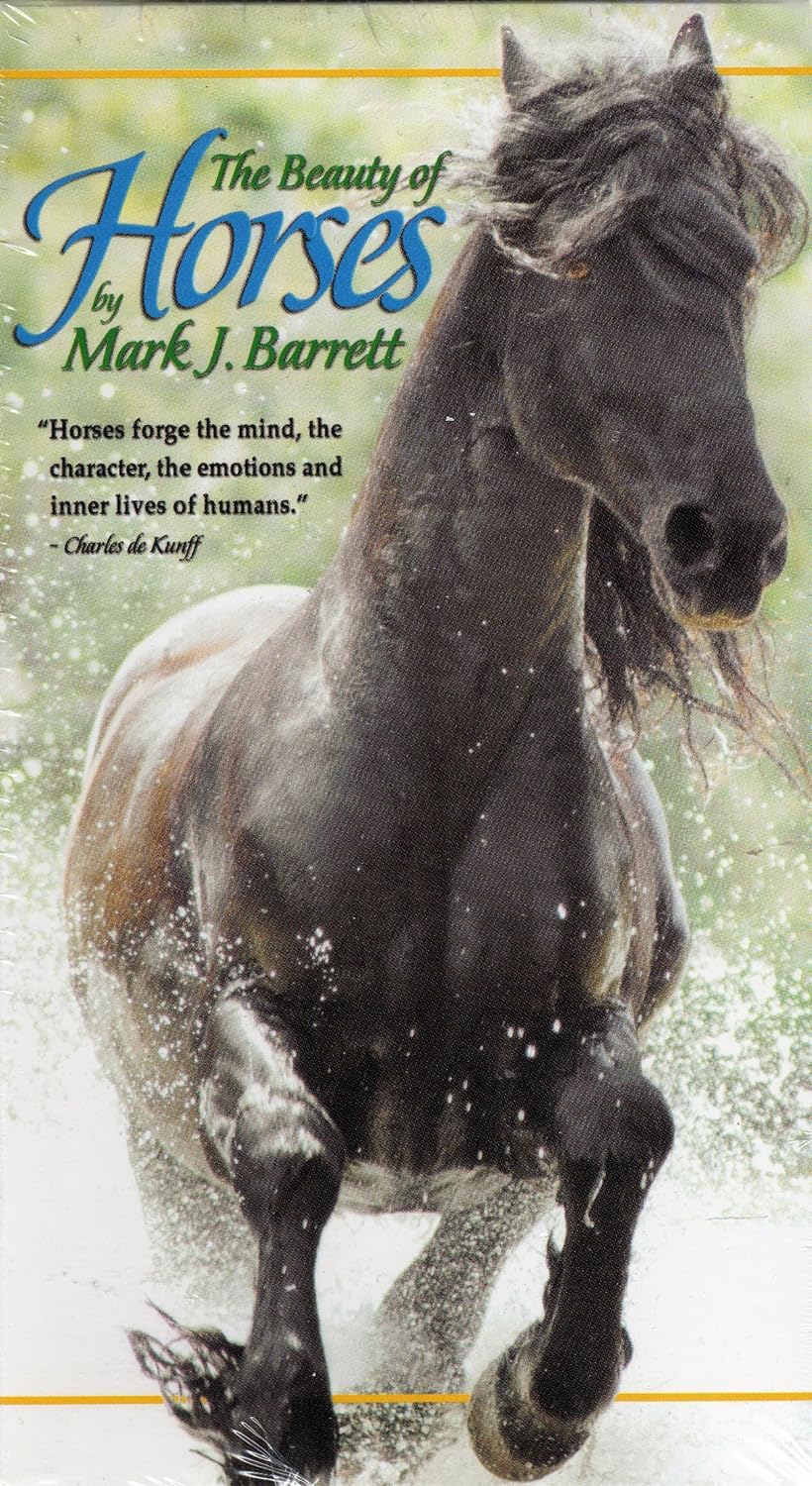 The Beauty of Horses