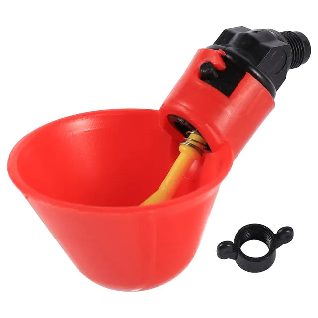 Chicken Water Cup Red 1